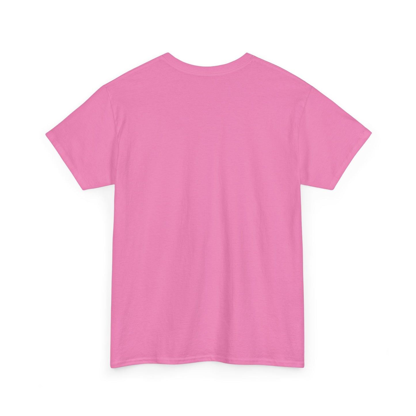 2025 Collins Family Reunion ADULT Shirt - Blue/Pink