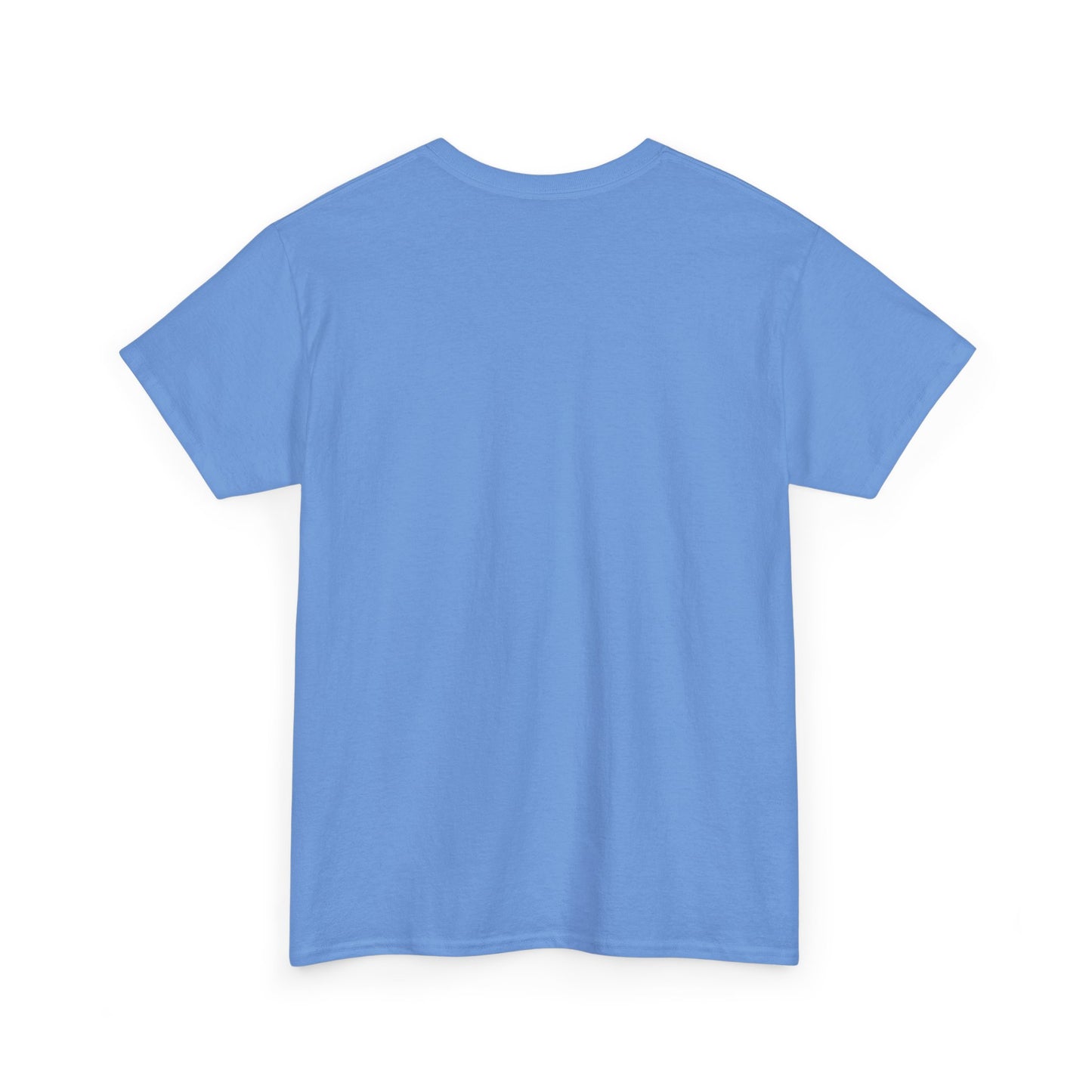 2025 Collins Family Reunion ADULT Shirt - Blue/Pink
