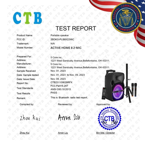 TWS DJ Party Speaker Set