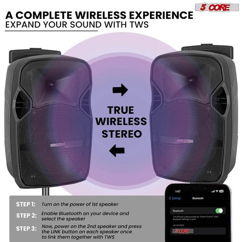 TWS DJ Party Speaker Set