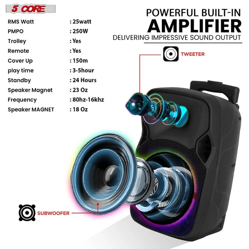 TWS DJ Party Speaker Set